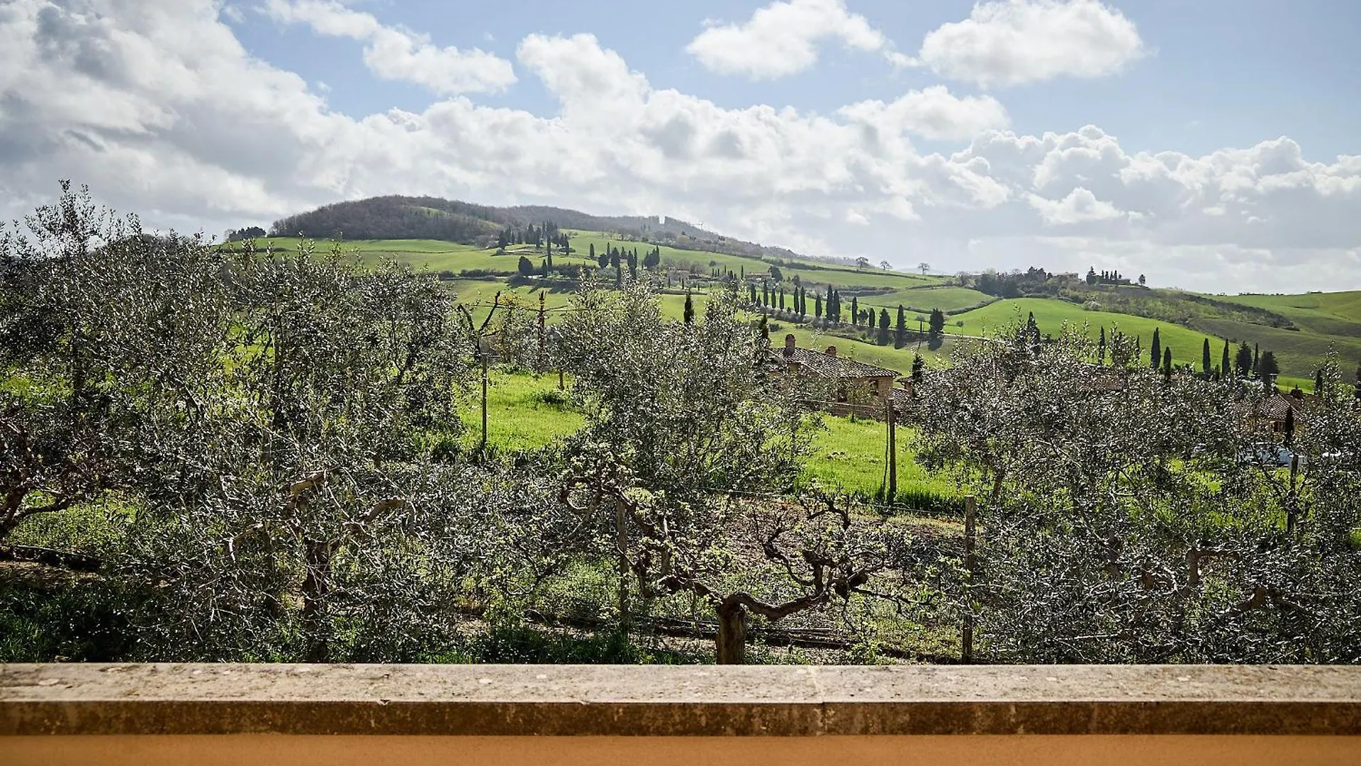 Villa Poliflora Monticchiello 0*,